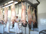 Frigoríficos em Guarapuava